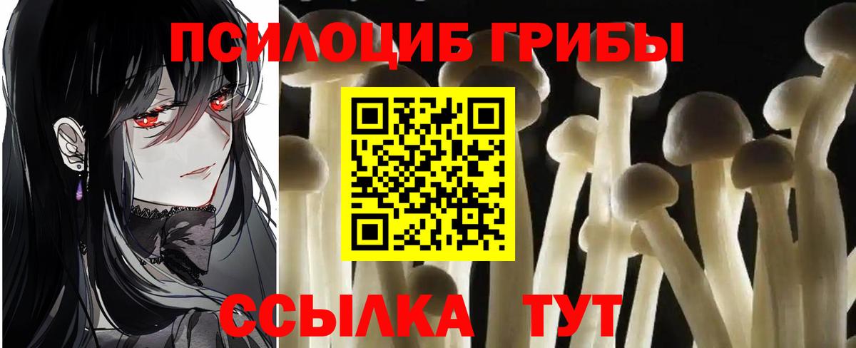 Псилоцибиновые грибы Psilocybine cubensis Люберцы