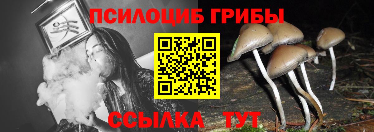 Псилоцибиновые грибы прущие грибы  Псилоцибиновые грибы Psilocybe  Люберцы  Вход с VPN 